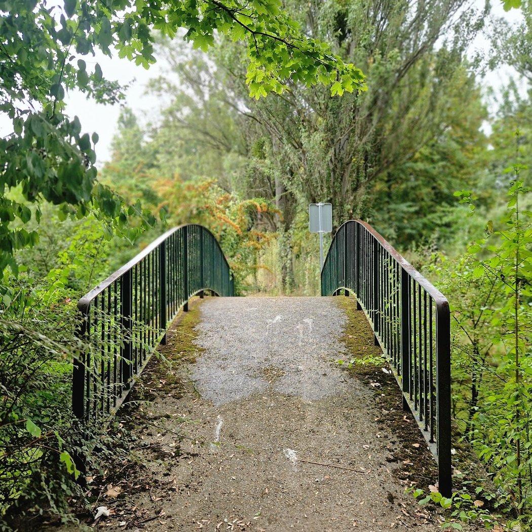 Parc Maréchal Leclerc 2